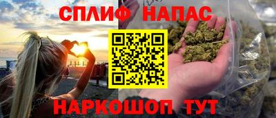 прущие грибы Волгодонск