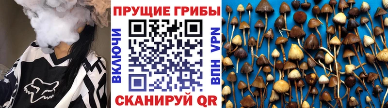 Псилоцибиновые грибы MAGIC MUSHROOMS  закладки  MEGA ссылки  Луга 