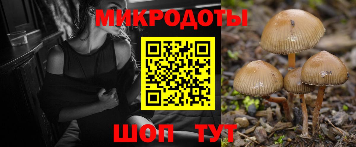 Луга  Псилоцибиновые грибы Psilocybine cubensis  Вход с VPN 